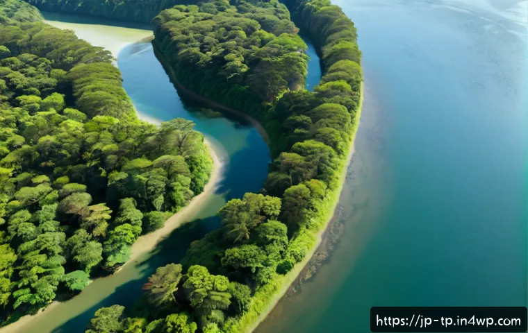 생태계 중심 사고란 무엇인가 - Photorealistic aerial view of a lush Japanese forest ecosystem flowing into a clear river and coasta...